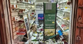 Galerie foto - poza 3