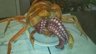 Ce Dumnezeu este AIA? Musafirii au INCREMENIT cand au vazut ce era pe masa din bucatarie! E un MONSTRU!