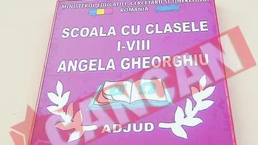 Angela Gheorghiu i-a lasat pe copii sa inghete de frig