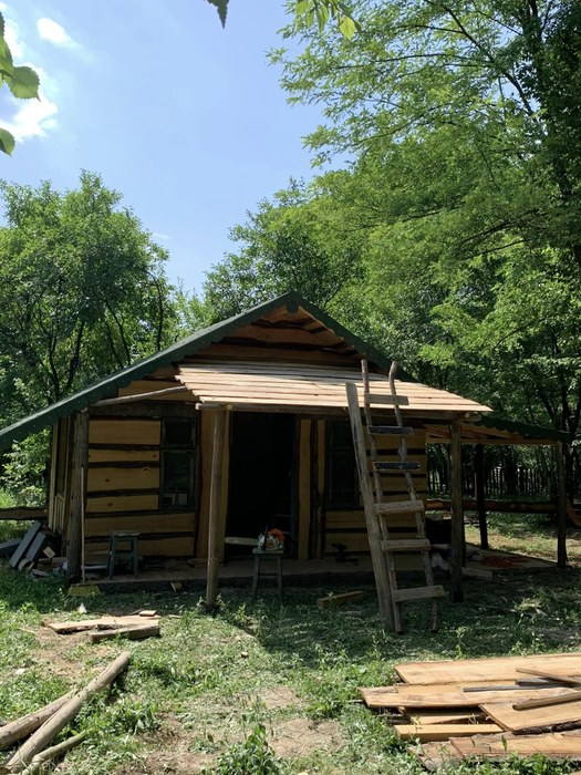 Cum arată casa în care locuiește Mihaela Bilic, din inima pădurii: “Nu am curent electric, nici apă”