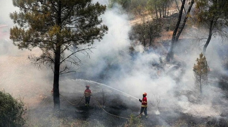 Incendiile de vegetație din Potugalia au luat zeci de vieți! Bilanțul victimelor și imagini cutremurătoare surprinse de martori și pompieri