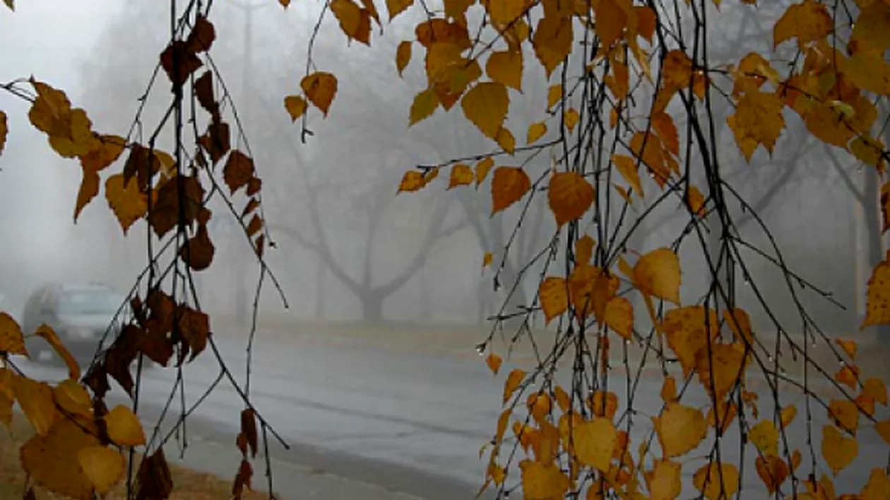 Meteo 25 februarie. Afla cum va fi vremea miercuri, dar si cum sa te imbraci