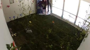 VIDEO Cea mai tare farsa de Paste! Niste baietii au redecorat camera unor fete, dar nu o sa crezi ce au bagat in ea! Dupa ce vezi clipul, o sa iti urasti iubitul!