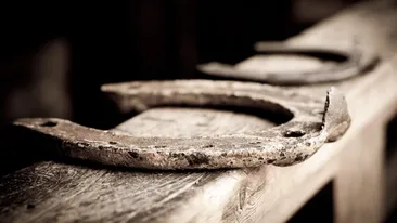 Un bărbat a transformat pasiunea pentru potcovit într-o afacere. Câți bani face lunar