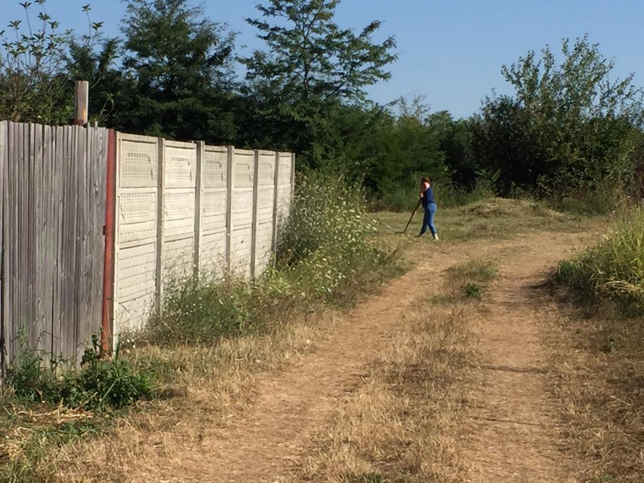 Angajații Primăriei Caracal taie iarba din curtea casei lui Gheorghe DIncă