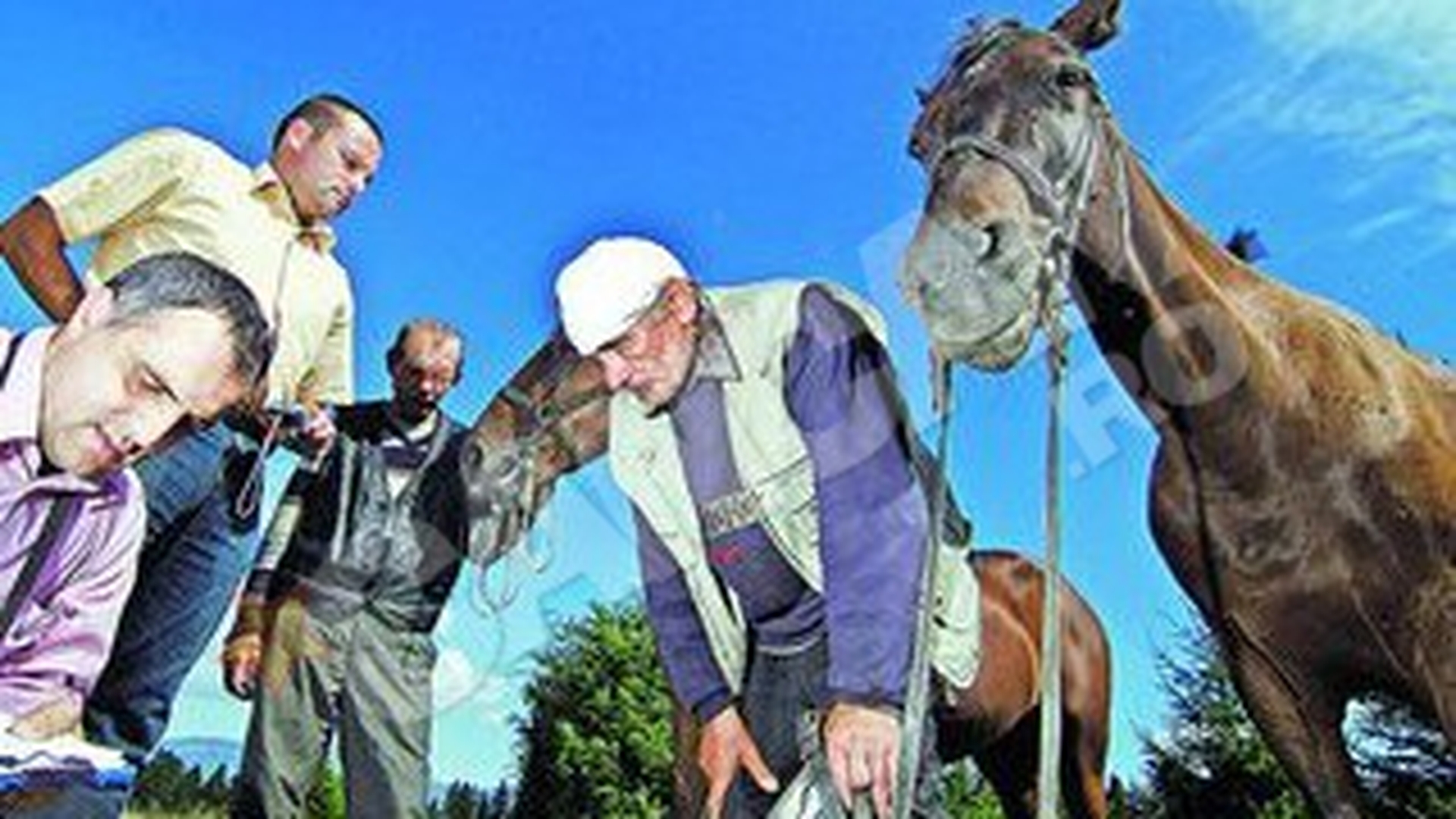 Judecata populara pe o pasune I-au batut (ca) pe hotii de cai