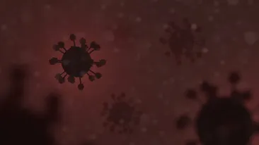 Coronavirus România, 1 decembrie. Doar 4.272 cazuri noi de persoane infectate cu SARS – CoV – 2 (COVID – 19), în ultimele 24 de ore