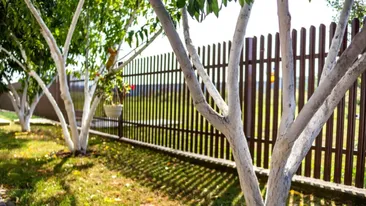 Ce pățesc proprietarii de case care încalcă linia de hotar. Ce distanță trebuie respectată