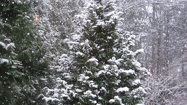 Anunt BOMBA facut de meteorologi in aceasta dimineata! COD GALBEN de ploi in 12 judete si ninsori