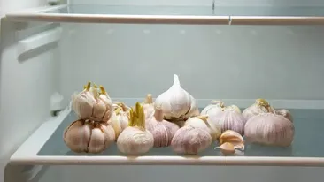 Trebuie sau nu ținut usturoiul în frigider? Puțini români știu acest lucru