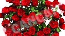20 de milioane de lei pentru un buchet de flori