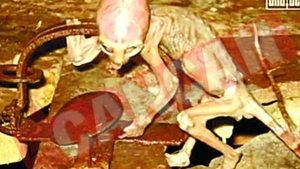 Primul extraterestru mort pe pamant