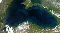 Descoperire neobișnuită în Marea Neagră. Cercetătorilor nu le-a venit să creadă că este adevărat ceea ce văd în fața ochilor