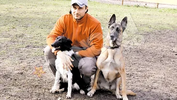 Patrupede de pe plaiuri mioritice, vedete peste Ocean!  Romanul care antreneaza caini pentru Hollywood