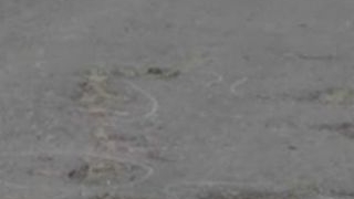 VIDEO A cazut de pe bicicleta din cauza unei gropi in asfalt si a murit