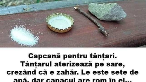 Bancul de weekend | Capcană pentru țânțari