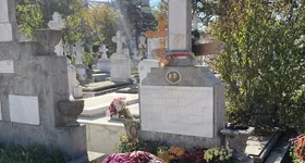 Galerie foto - poza 4