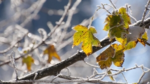 Meteo 25 septembrie: vreme extrem de rece în București