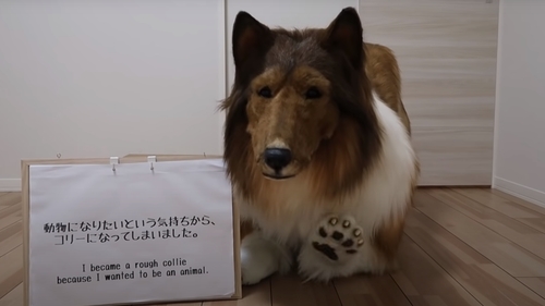 Să vezi și să nu crezi! Un japonez a cheltuit o avere ca să se transforme într-un câine