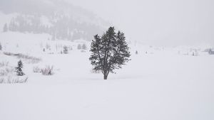Prognoza meteo 27 februarie: Iarna a paralizat țara! Ce spun meteorologii