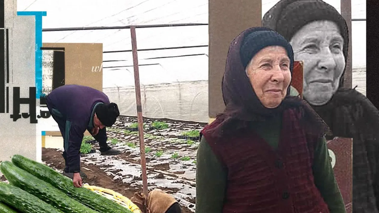 Ei sunt oltenii care vând (la propriu) castraveți grădinarului!