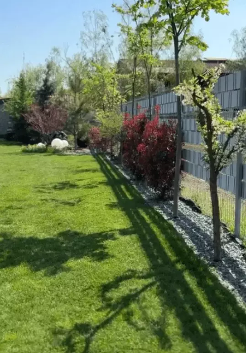 Cum arată grădina Andreei Bănică. Artista și-a creat un adevărat colț de rai