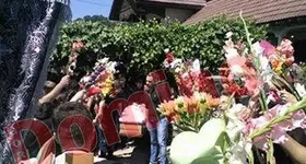 Galerie foto - poza 3