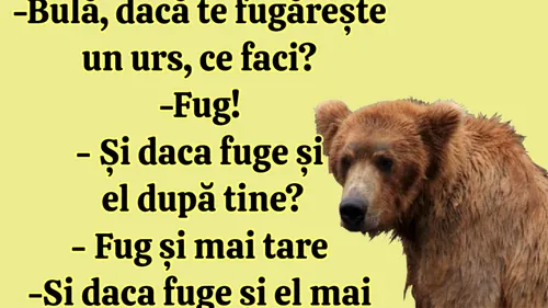 BANC | Bulă, dacă te fugărește un urs, ce faci?