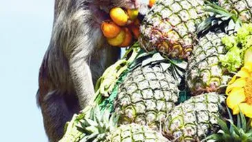 Ce de bunatati doar pentru noi!