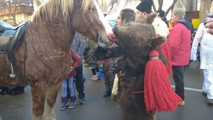 Ionuț Iftimoaie, în mijlocul ”urșilor” de la Comănești! GALERIE FOTO + VIDEO
