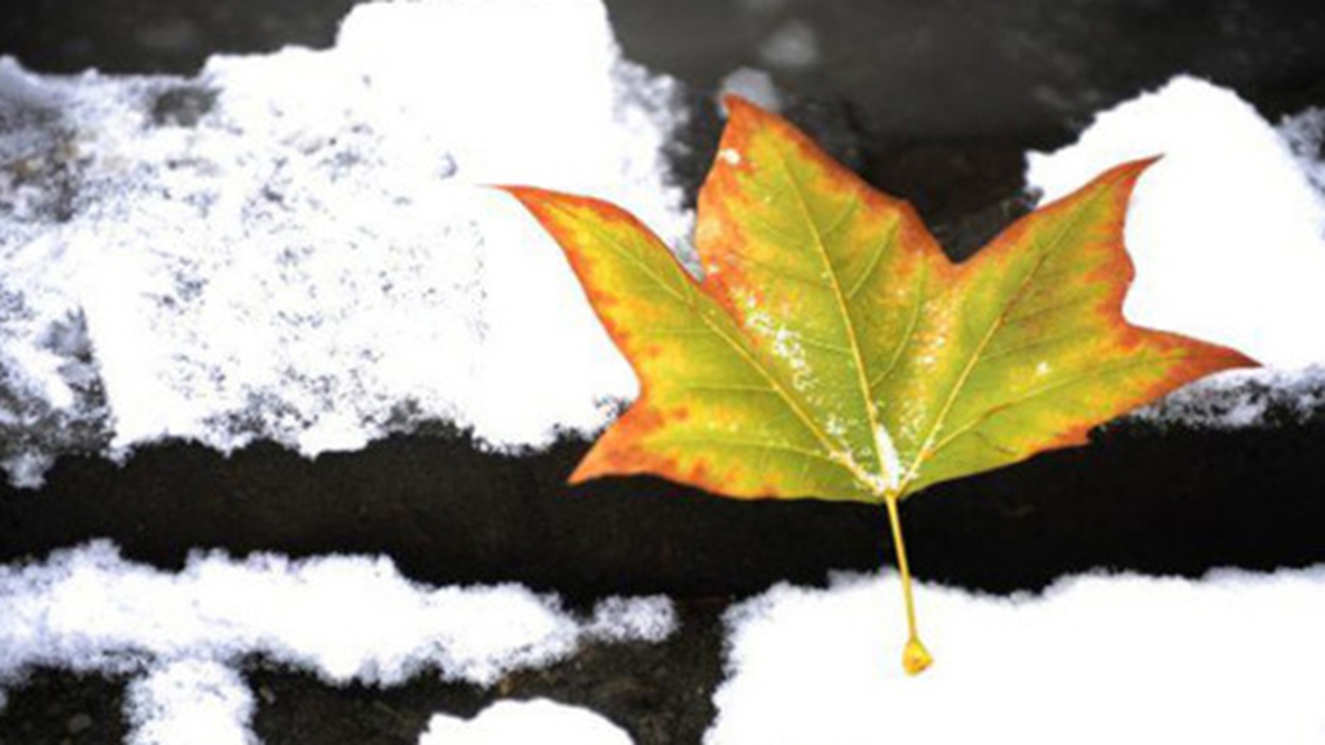 VINE IARNA! Anuntul de ultima ora al meteorologilor! Cum va fi vremea astazi, 23 noiembrie!