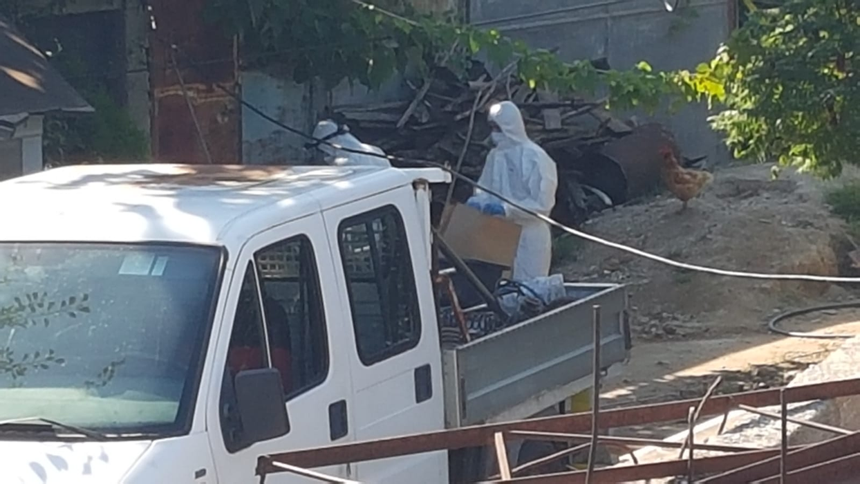 Au fost reluate căutările în casa lui Gheorghe Dincă. Vor fi sparte cu buldozerul gropile cimentate