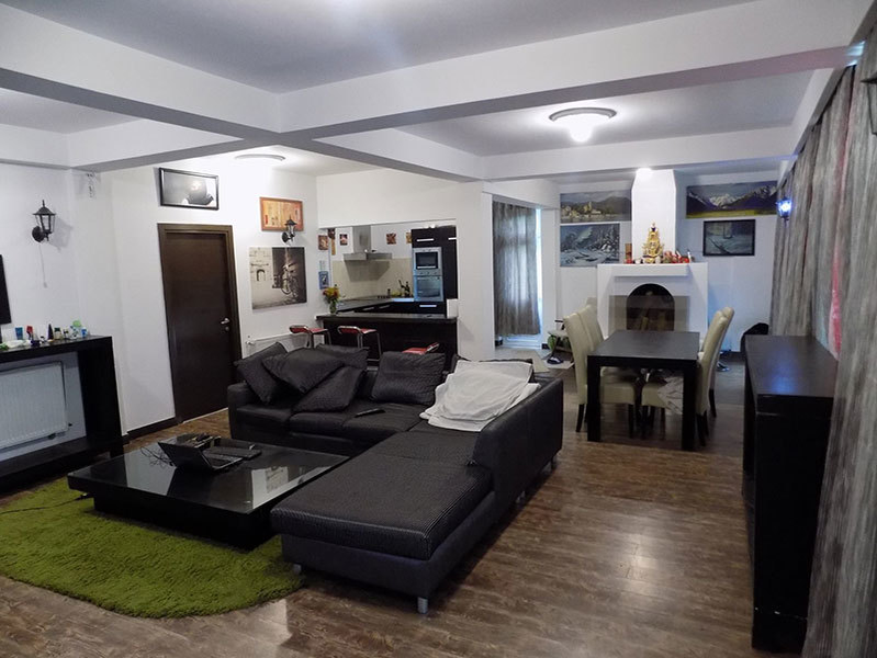 Casa lui Ogică are un living spaţios