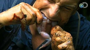 A supravietuit in cele mai dure conditii, dar se teme de ASTA! N-o să-ţi vină să crezi care e cea mai mare fobie a lui Bear Grylls