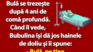 BANC | Bulă se trezește după 4 ani de comă profundă
