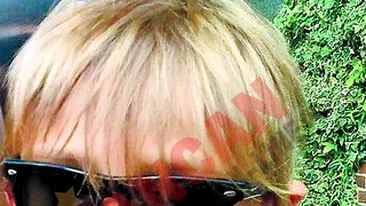 Se teme si de-o musca