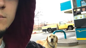 Acest tânăr a găsit un câine pe stradă, însă când s-a uitat ce scria pe plăcuţa prinsă de zgardă a avut un şoc! Povestea incredibilă a făcut înconjurul planetei