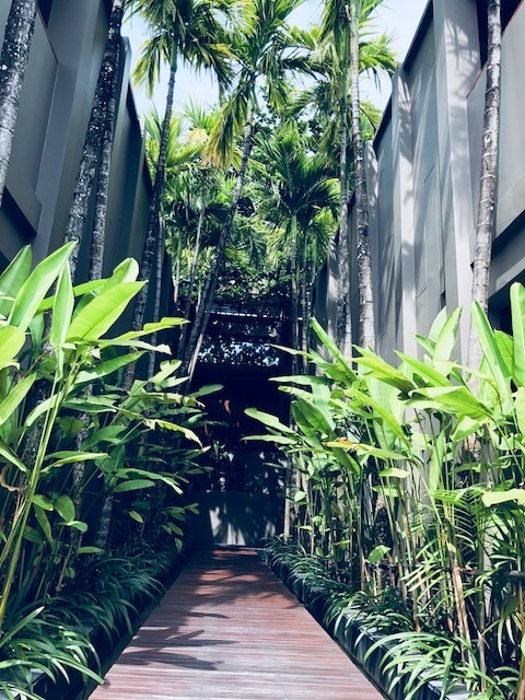 GALERIE FOTO. Alina Eremia, super vacanţă în Thailanda. “Chiar dacă nu găseşti cel mai mare lux…”