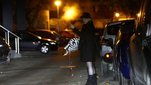 "Jurata" Emilia Popescu a plimbat o zebra prin Dorobanti, in miezul nosptii. Imagini hilare!
