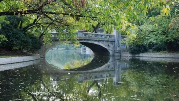 Mesajul dureros al unei actrițe din România. A fost agresată în public, însă nimeni nu i-a sărit în ajutor: “ Mă trezesc cu el la gât”