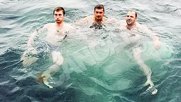 Tamas se reface in Portugalia