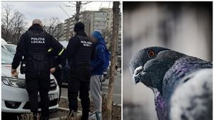 Ce amendă IREALĂ a primit un bărbat pentru că a hrănit porumbeii, în sectorul 6: „Fără să stăm la discuții!”