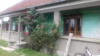 Casă oferită gratis în Satu Mare, plus 5 hectare de teren. Ce căutau proprietarii