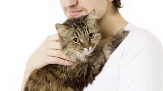Animalele de companie, salvatorii vietii tale!