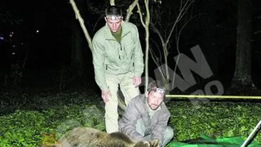 Ursii-mascota din Tusnad au fost capturati