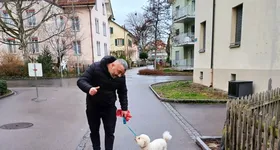 Galerie foto - poza 1