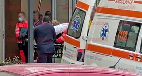 Galerie foto - poza 4