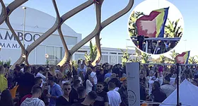 Galerie foto - poza 2