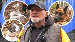 Cei mai simpatici căței, față-n față cu dresori de top: "Am educat și câinii vedetelor" | EXCLUSIV