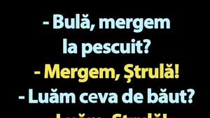 BANC | "Bulă, mergem la pescuit?"